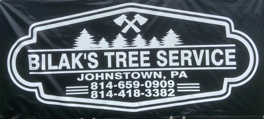 Bilaks Tree Sign.jpg